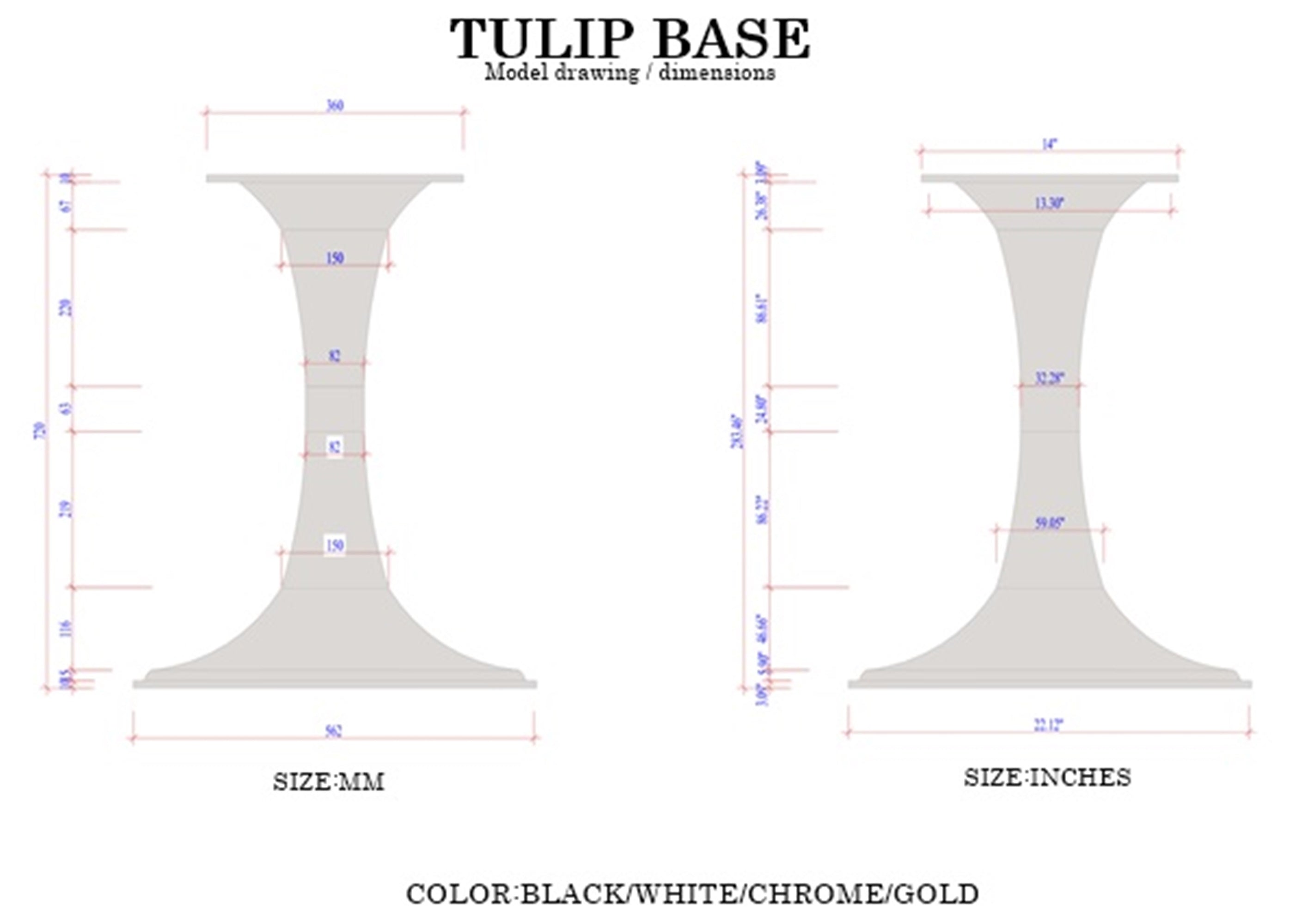 Tulip Base